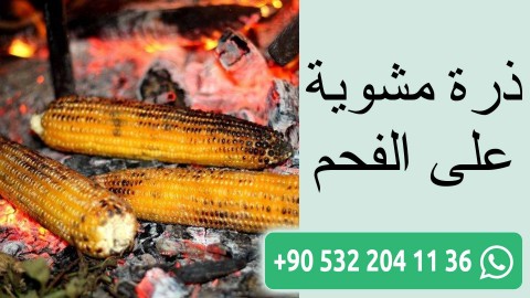 ذرة مشوية على الفحم